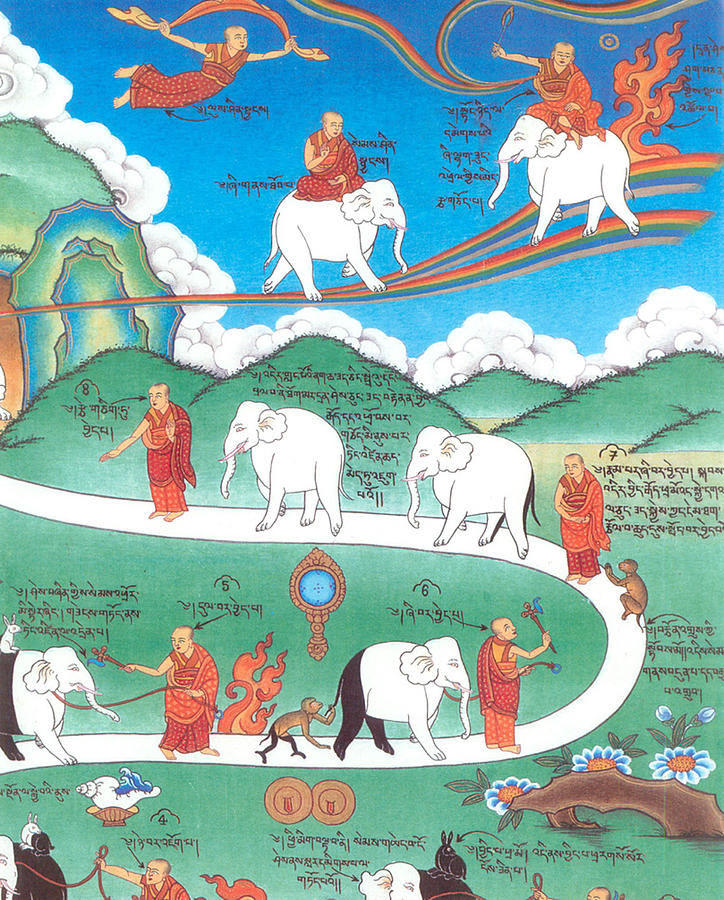 Taming The Elephant Mind Diagram Digital Art by Detst Store Pixels