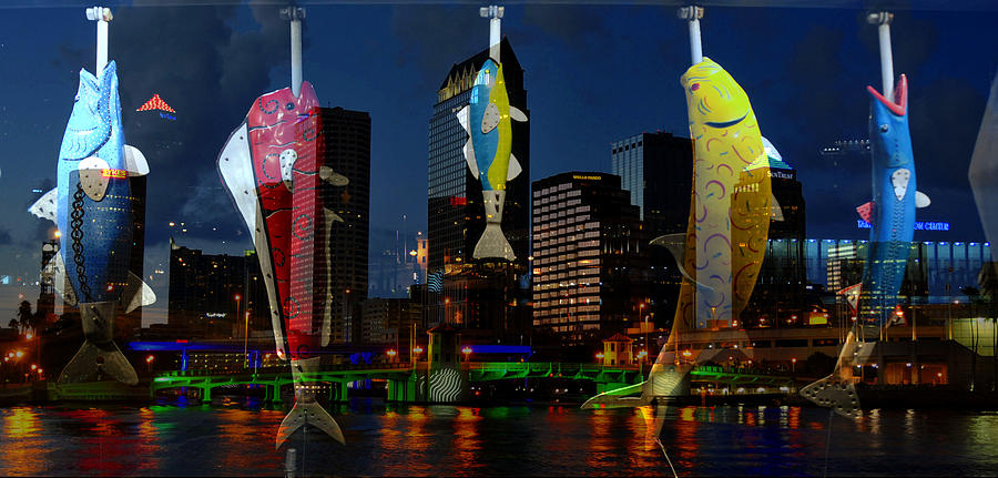 Tampa and fish art Photograph by David Lee Thompson