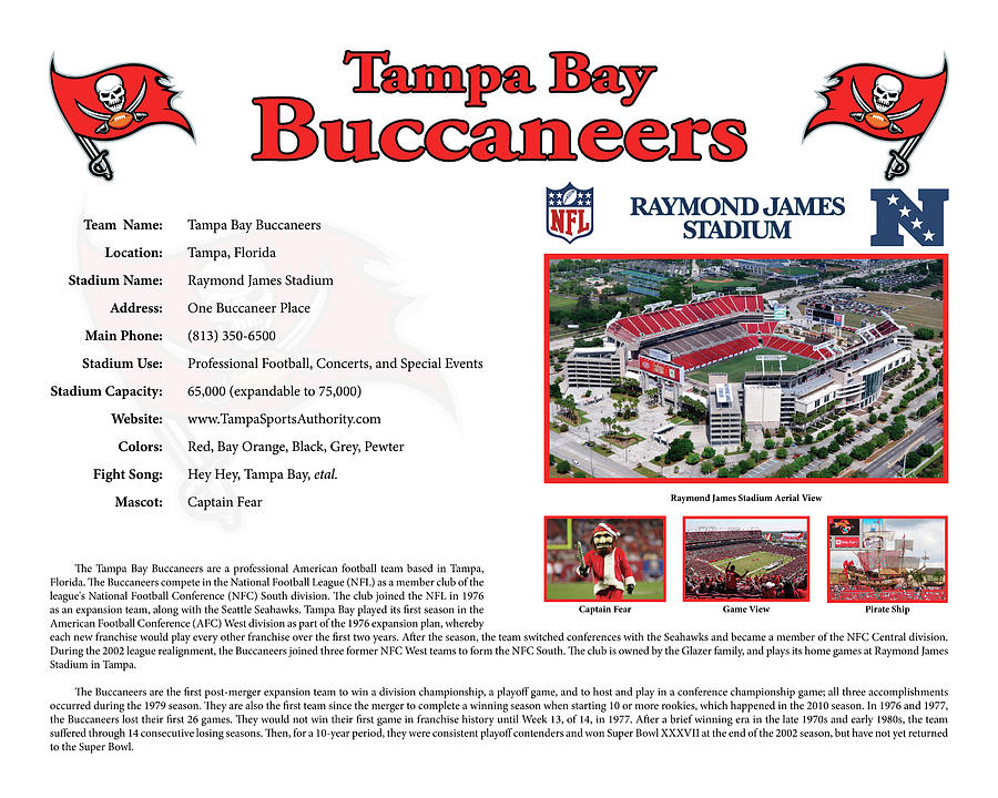 Tampa Bay Buccaneers Digital Art for Sale - Fine Art America