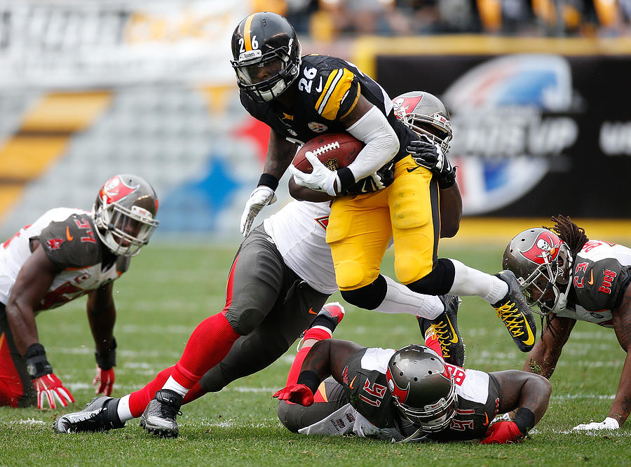 Tampa Bay Buccaneers v Pittsburgh Steelers Photograph by Gregory Shamus