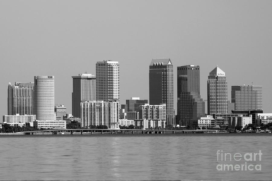 Tampa From The Bay Photograph