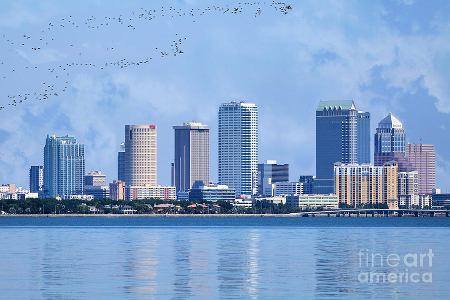 Tampa Skyline With Bird Migration Photograph