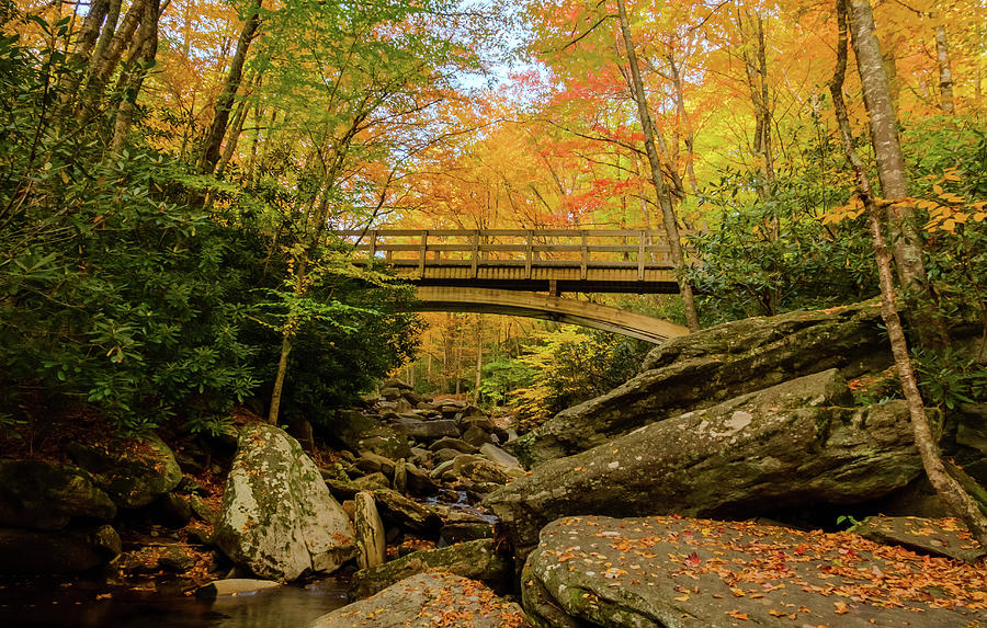 Tanawha Wooden Arch Bridge 4 Photograph by Kelly Kennon - Fine Art America