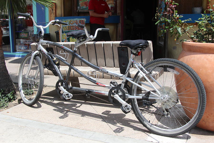 biscayne tandem bike