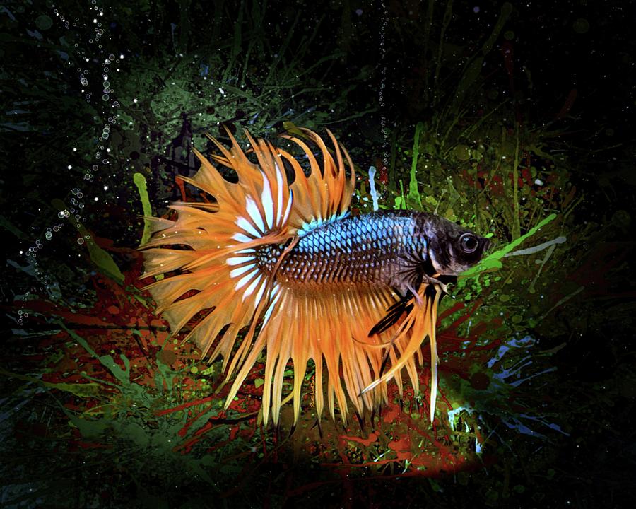 Tangerine Crowntail Betta Fish Aquatic Portrait Digital Art by Scott ...