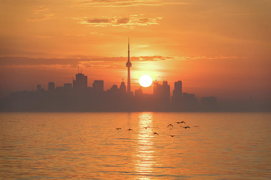 Tangerine Mist - Toronto Skyline Sunrise with Flying Birds Photograph by Georgia Mizuleva