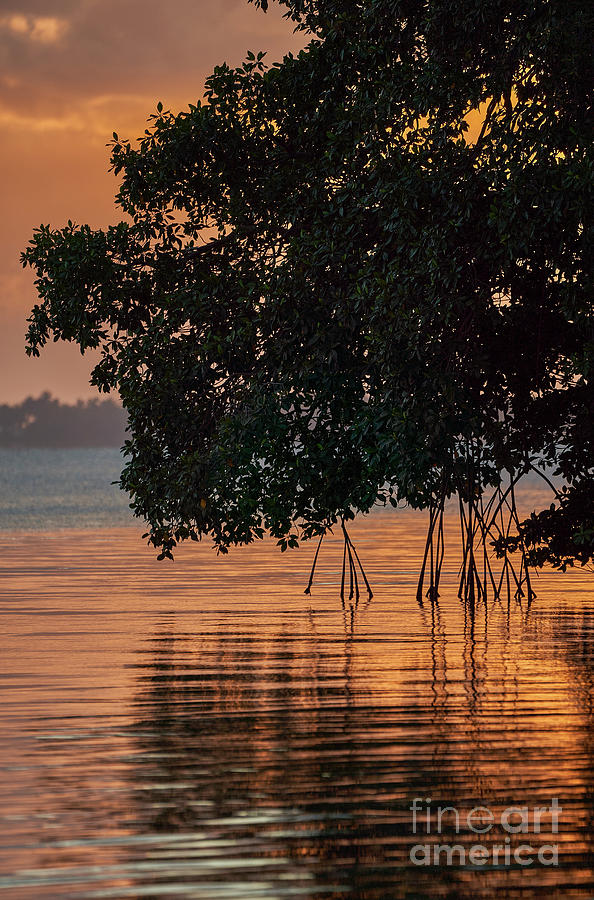 Tangerine Sunrise Photograph by Brian Kamprath