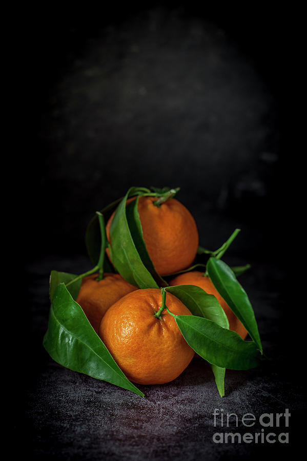 Tangerine Photograph - Tangerines by Agata Lagati Tangerine Photograph - Tangerines by Agata Lagati