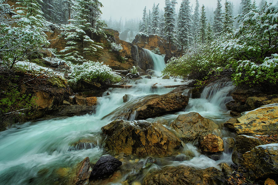 Winter Summer Water falls Fog Tangle Creek Fall , Banff National Park Photograph by Yves Gagnon