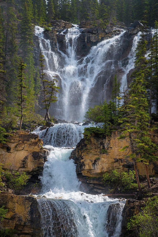 Tangle Creek Falls Photograph by Bill Cubitt