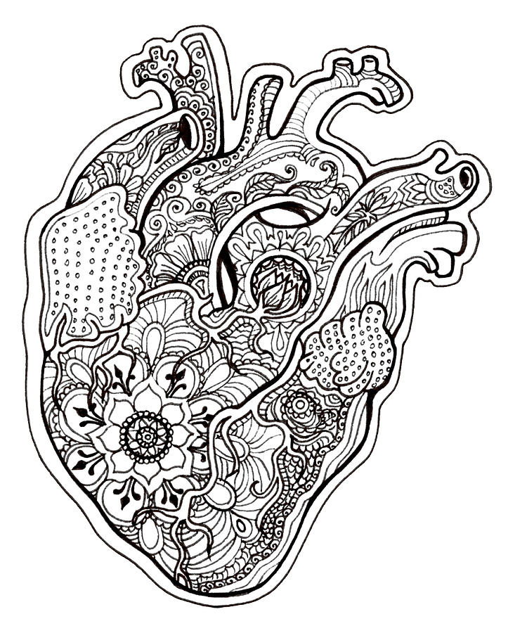 Tangle Pattern Anatomical Heart Drawing by Katherine Nutt | Fine Art ...
