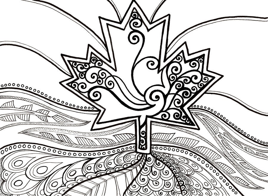 Tangle Pattern Maple Leaf Drawing by Katherine Nutt