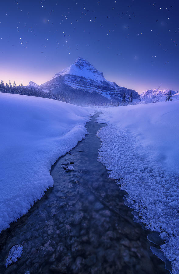 Tangle Peak in Winter Dawn Photograph by Celia Zhen