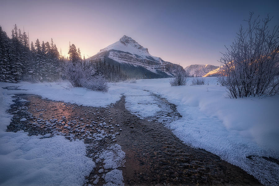Tangle Peak Sunrise in Winter Photograph by Celia Zhen