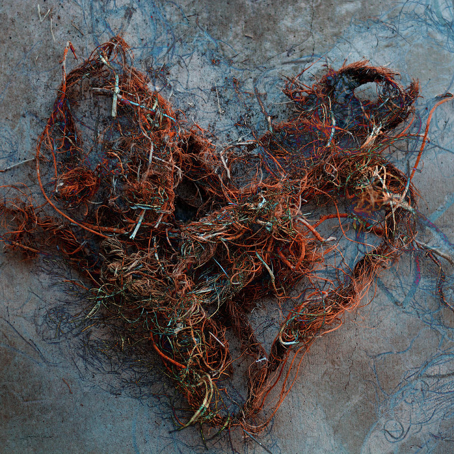 Tangled Heart Digital Art by James W Johnson