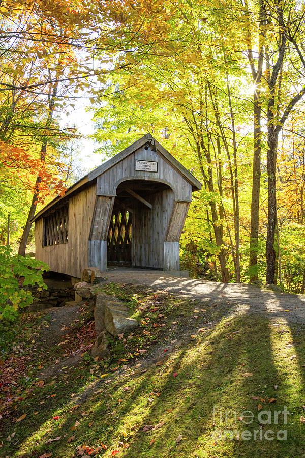 Tannery Hill Covered Bridge Star tall Photograph by Shell Ette | Fine ...