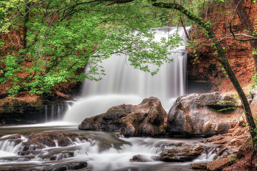 Tanyard Creek Falls At High Water Photograph by Gregory Ballos