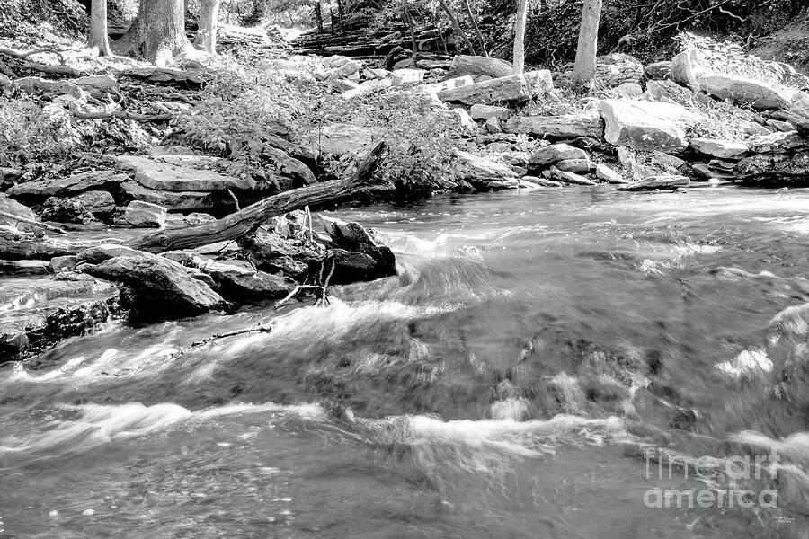 Tanyard Creek Rushing Water Grayscale Photograph by Jennifer White