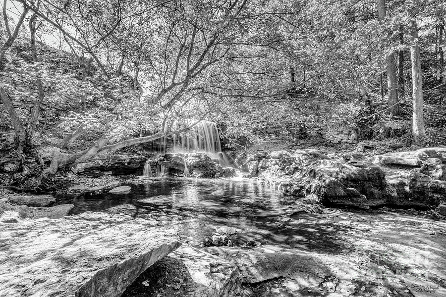 Tanyard Creek Waterfall In The Fall Grayscale Photograph by Jennifer White