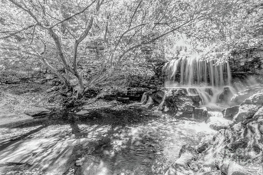 Tanyard Creek Waterfall To The Side Grayscale Photograph by Jennifer White