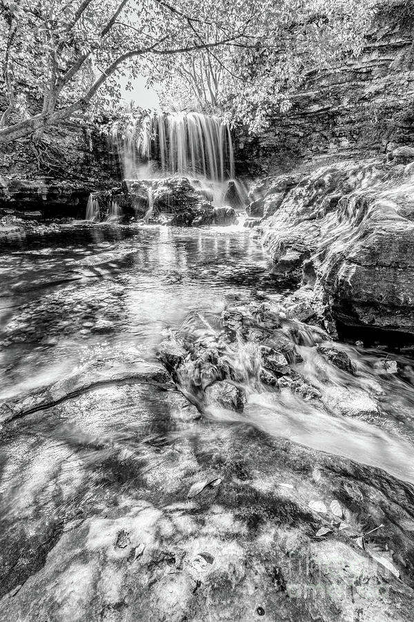 Tanyard Creek Waterfall Vertical Grayscale Photograph by Jennifer White