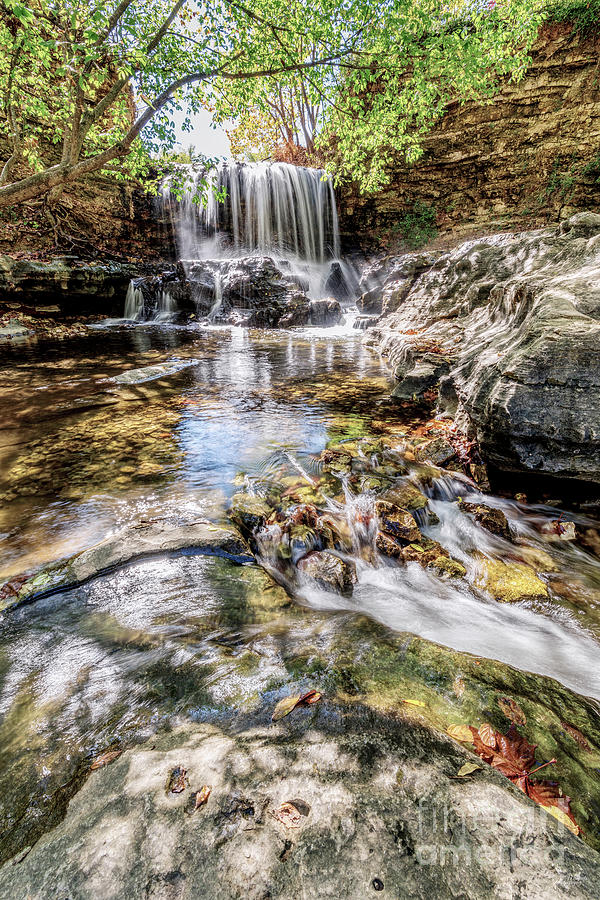 Tanyard Creek Waterfall Vertical Photograph by Jennifer White
