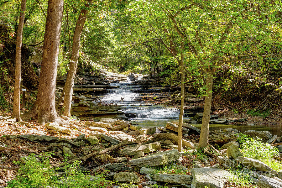 Tanyard Waterfalls In The Woods Photograph by Jennifer White