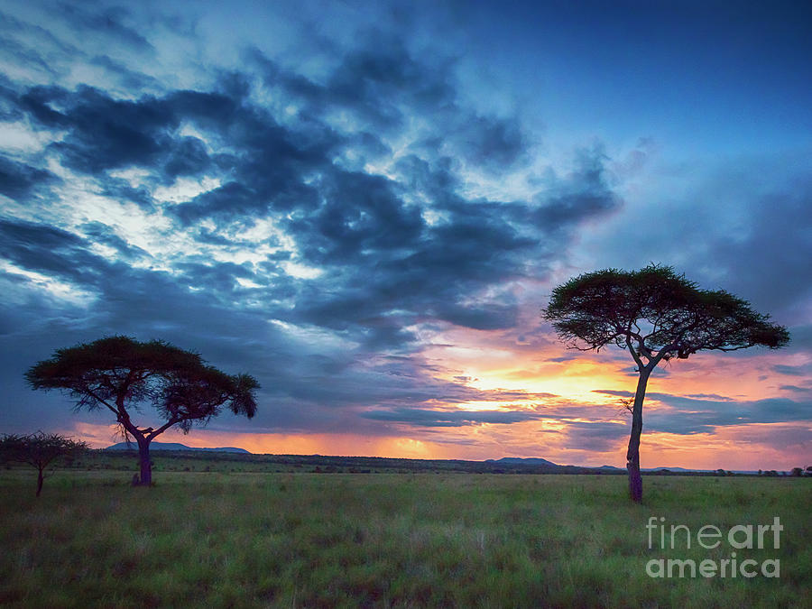 Tanzania Sunset Photograph By Liran Eisenberg Pixels