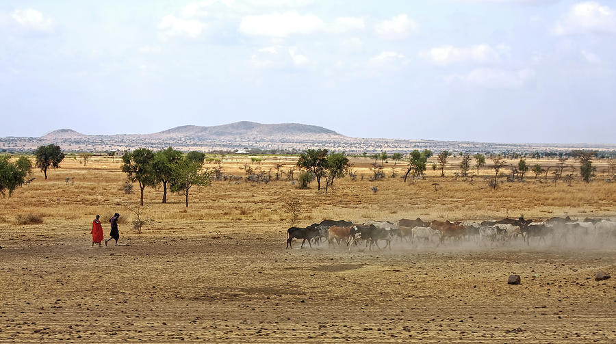 Tanzanian Landscape Photograph by Sally Weigand