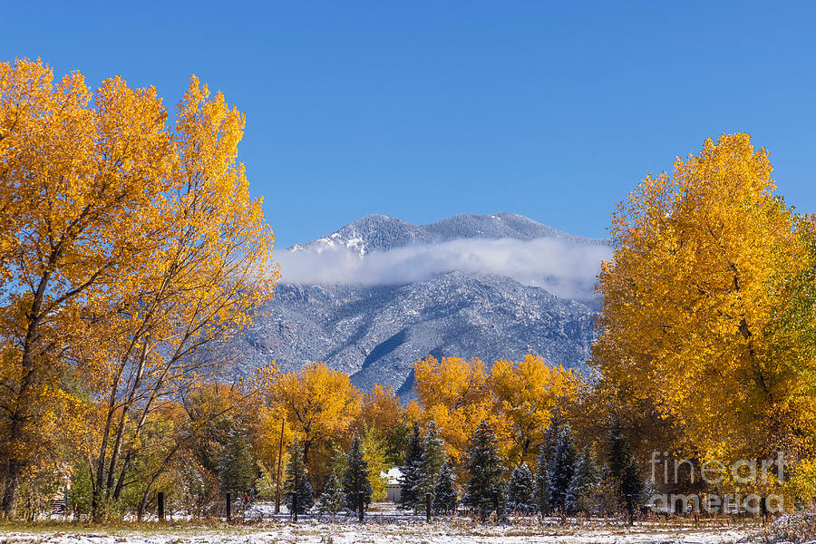 Taos Mountain in Autumn Snow  Photograph by Elijah Rael