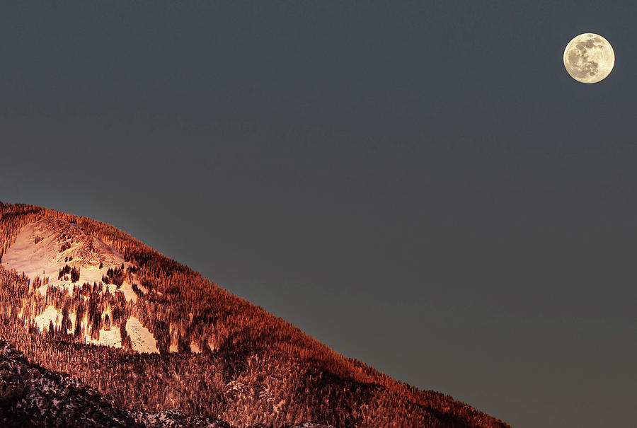Taos Mt Skull looking at Wolf Moon Photograph by Elijah Rael