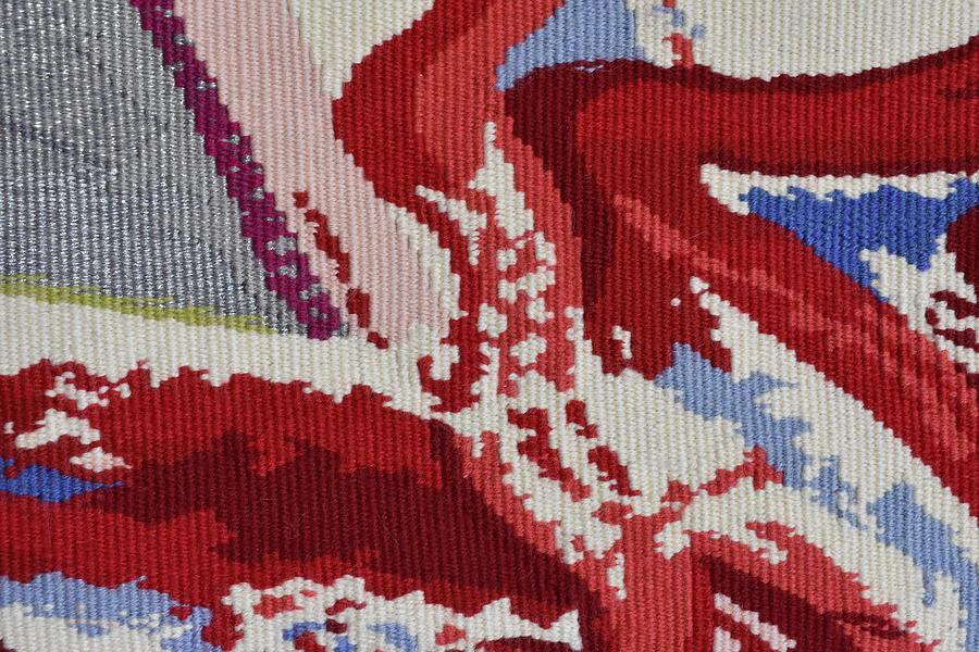 Tapestry Detail #9 Photograph by Dick Sauer