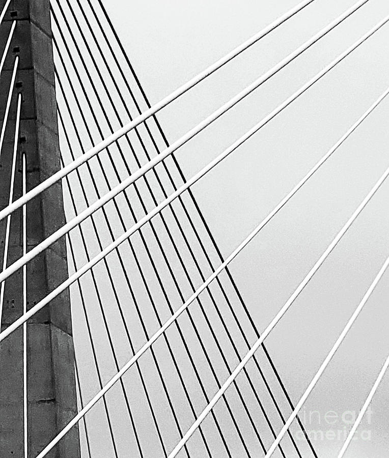 Tappan Zee Cable Abstract Photograph by Sharon Williams Eng