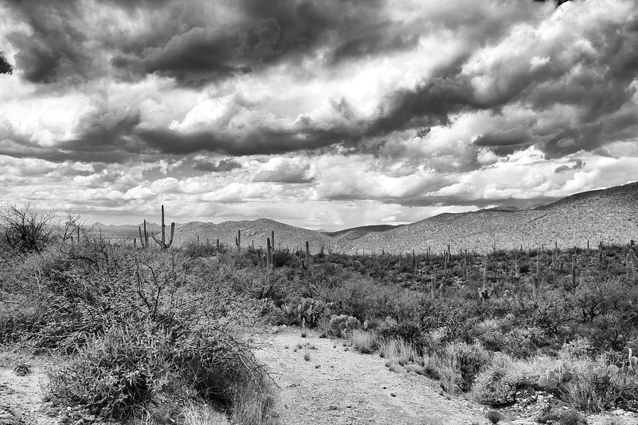 Taque Verde Canyon AZ Photograph by Chris Smith