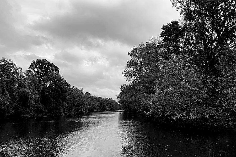 Tar River in October BW Photograph by Lee Darnell