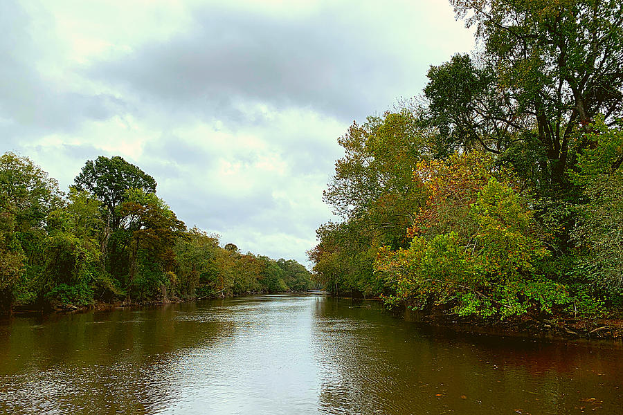 Tar River in October Photograph by Lee Darnell