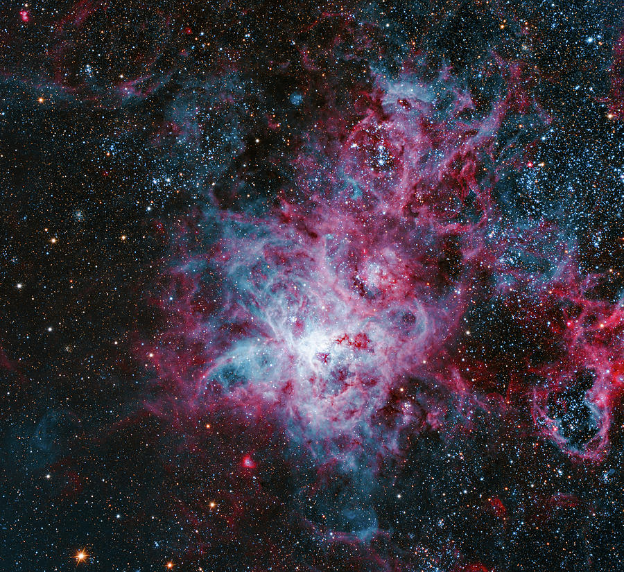 Space Photograph - Tarantula Nebula by Colin Robson