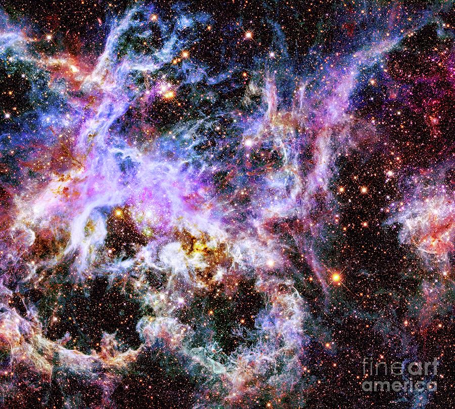 Tarantula Nebula in Infrared Light Photograph by M G Whittingham