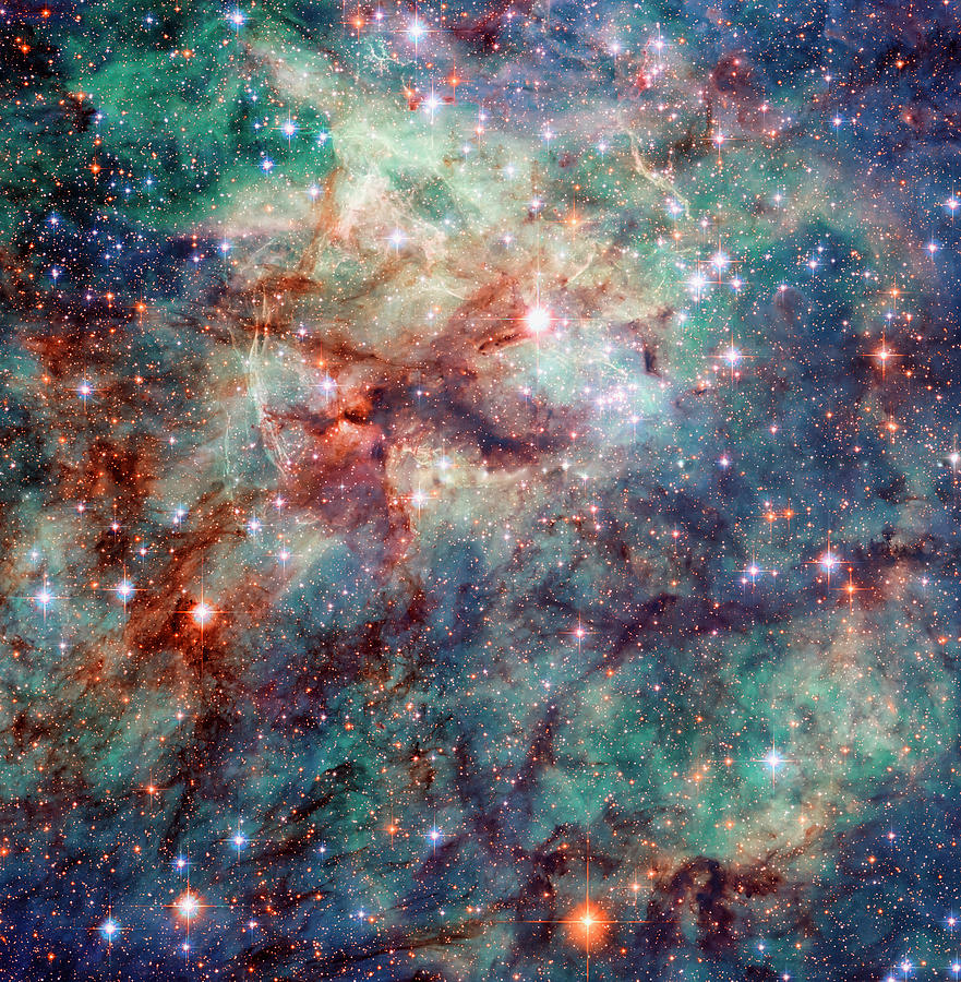 Interstellar Photograph - Tarantula Nebula by Mango Art