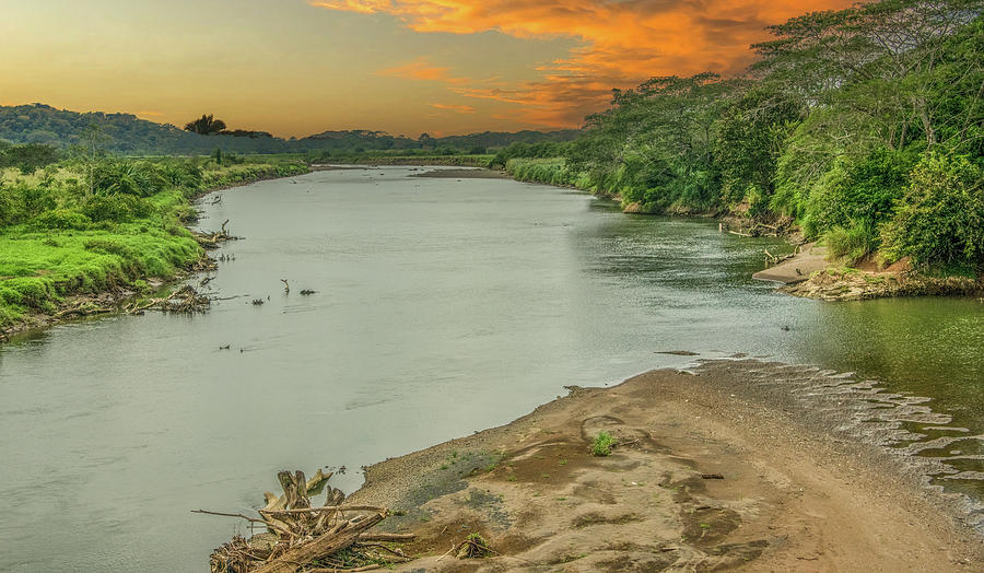 Tarcoles River, Costa Rica Photograph by Marcy Wielfaert