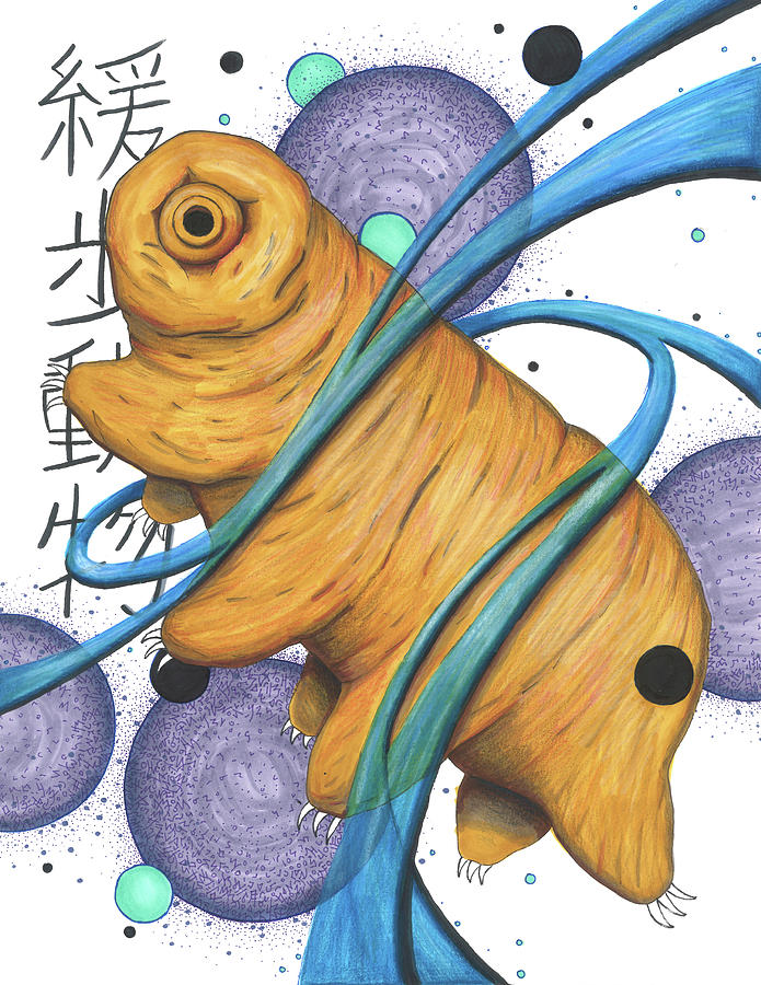 Animal Drawing - Tardigrade by Sarah Root