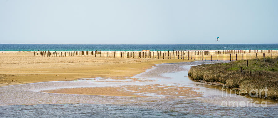 Tarifa Spain. Wetlands, Playa de los Lances Photograph by Perry Van Munster