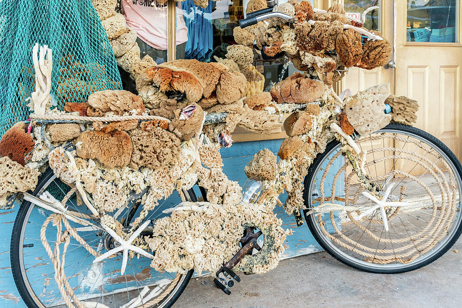 Tarpon Springs Sponge Covered Bike Photograph by Dawna Moore Photography