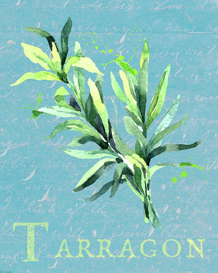 Tarragon The Herb Mixed Media