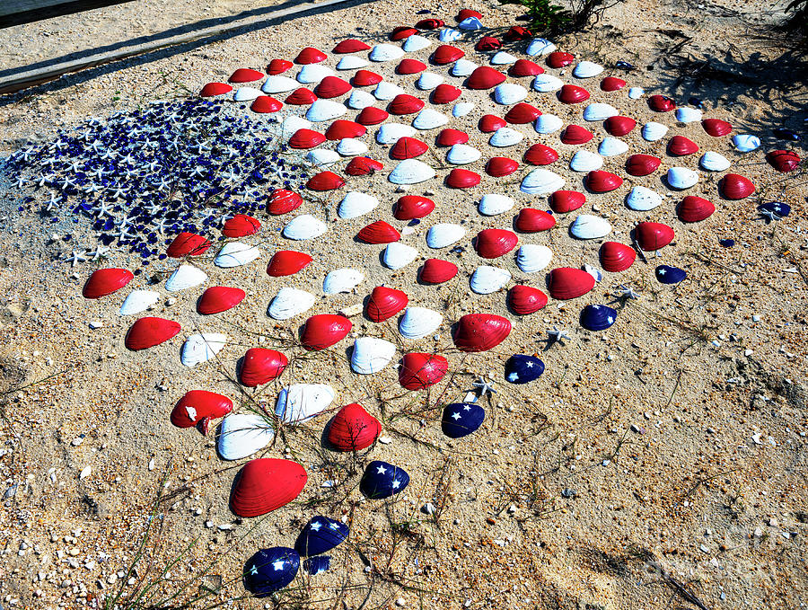 Stars and Stripes Seashells at Beach Haven Photograph by John Rizzuto