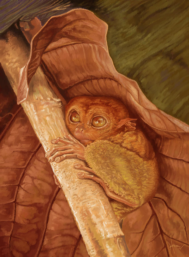 Tarsier in Place Painting by Hans Neuhart