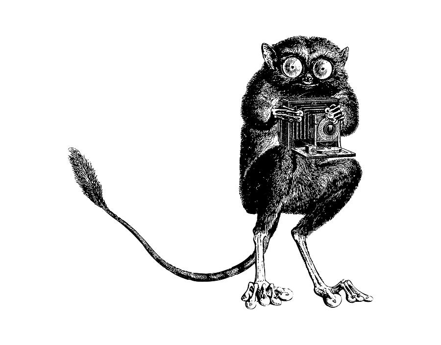 Tarsier with Vintage Camera Digital Art by Eclectic at Heart