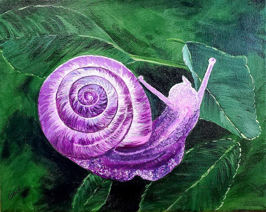 Tasmania Snail Painting by Gail Friedman