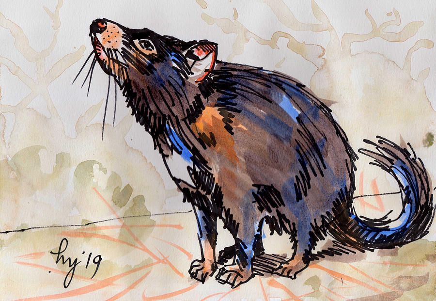 Tasmanian Devil animal painting side view Painting by Mike Jory