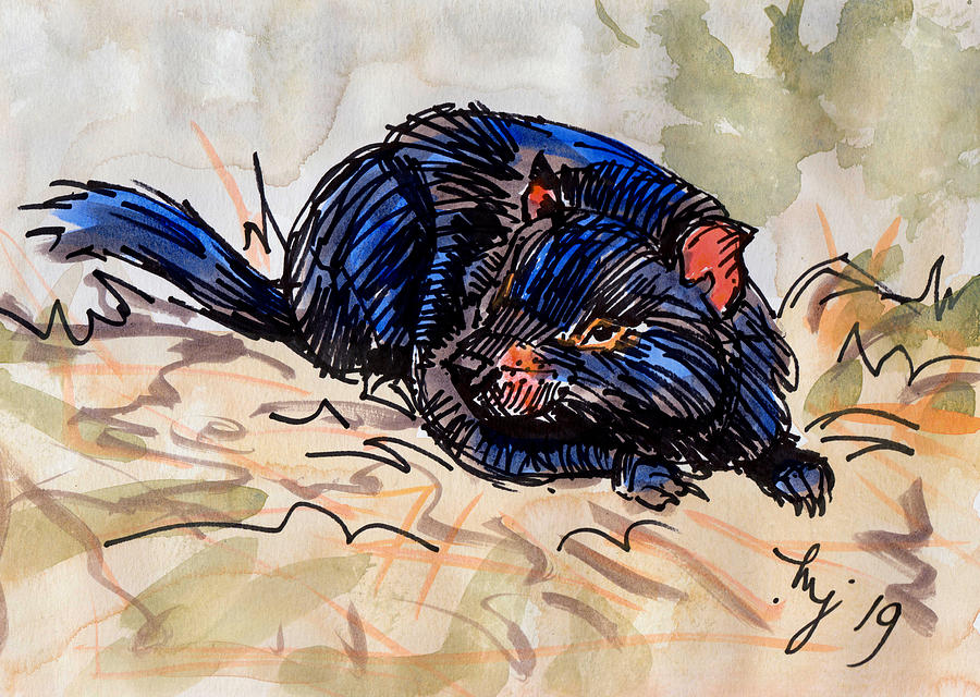Tasmanian Devil lying down painting Painting by Mike Jory